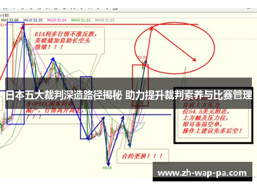 日本五大裁判深造路径揭秘 助力提升裁判素养与比赛管理 日本五大裁判深造路径揭秘 助力提升裁判素养与比赛管理