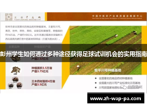 彭州学生如何通过多种途径获得足球试训机会的实用指南 彭州学生如何通过多种途径获得足球试训机会的实用指南