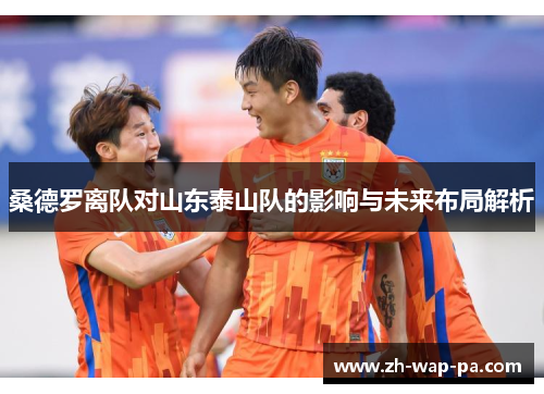 桑德罗离队对山东泰山队的影响与未来布局解析