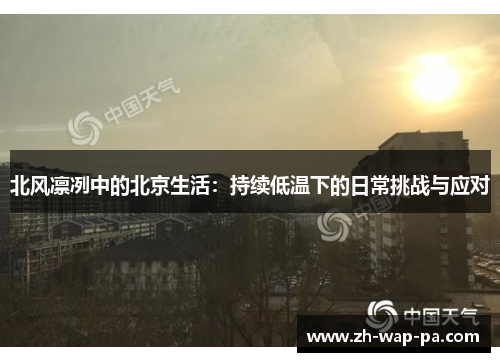 北风凛冽中的北京生活：持续低温下的日常挑战与应对