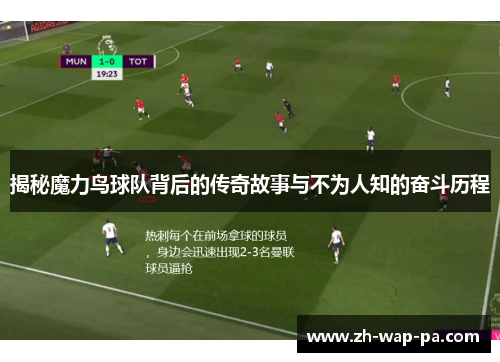 揭秘魔力鸟球队背后的传奇故事与不为人知的奋斗历程 揭秘魔力鸟球队背后的传奇故事与不为人知的奋斗历程