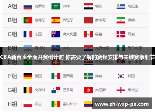 CBA新赛季全面开赛倒计时 你需要了解的赛程安排与关键赛事细节