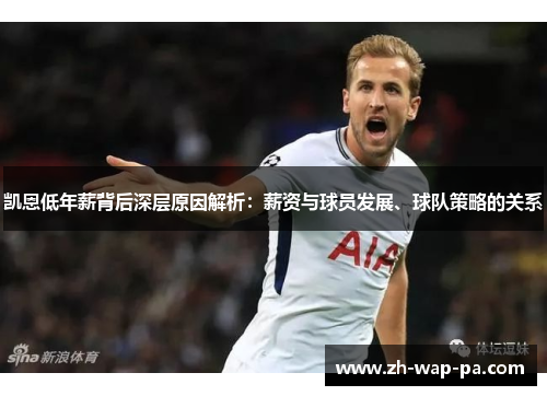 凯恩低年薪背后深层原因解析：薪资与球员发展、球队策略的关系