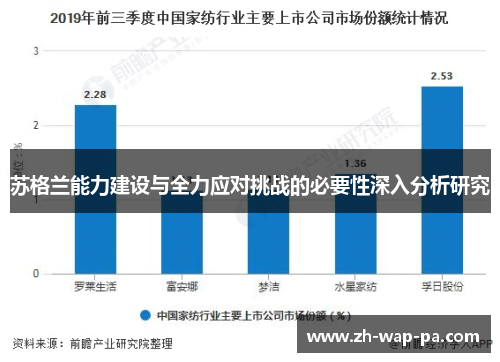 苏格兰能力建设与全力应对挑战的必要性深入分析研究