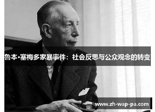 鲁本·塞梅多家暴事件：社会反思与公众观念的转变