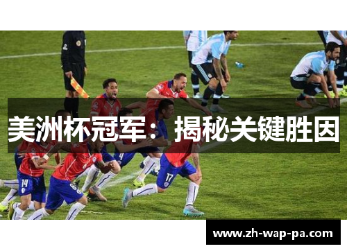 美洲杯冠军：揭秘关键胜因
