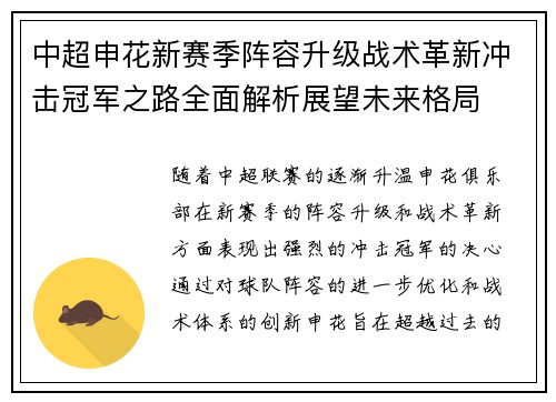 中超申花新赛季阵容升级战术革新冲击冠军之路全面解析展望未来格局