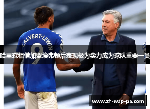 哈里森租借加盟埃弗顿后表现极为卖力成为球队重要一员