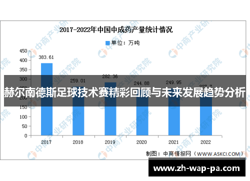 赫尔南德斯足球技术赛精彩回顾与未来发展趋势分析