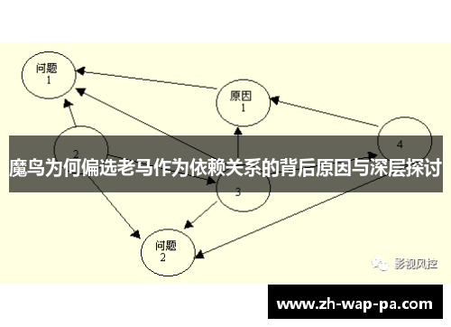 魔鸟为何偏选老马作为依赖关系的背后原因与深层探讨