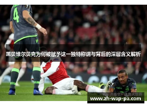黑贝维尔贝克为何被赋予这一独特称谓与背后的深层含义解析